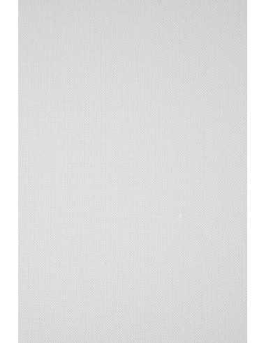 Carta strutturata tela bianco 246g Elfenbein Linen White (61x86cm)