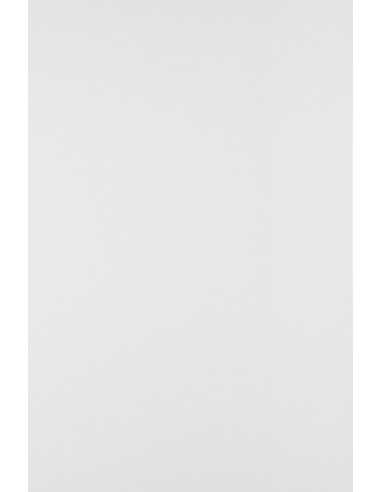 Carta liscia bianco 170g Lessebo Smooth White (72x102cm)