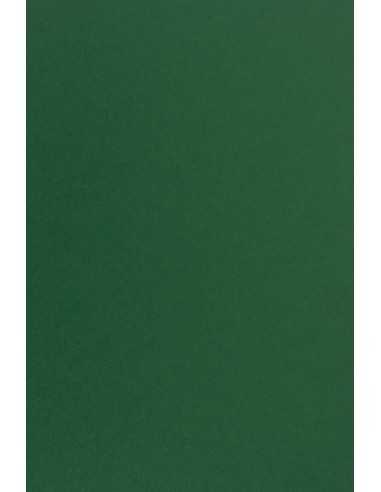 Carta colorata verde scuro 115g Sirio Color Foglia (70x100cm)