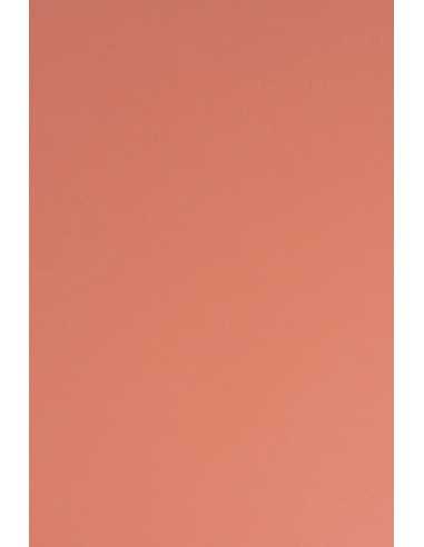 Carta colorata rosso chiaro 210g Sirio Color Flamingo (70x100cm)