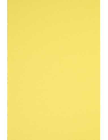 Carta colorata giallo 230g Rainbow - conf. 10 fogli A3