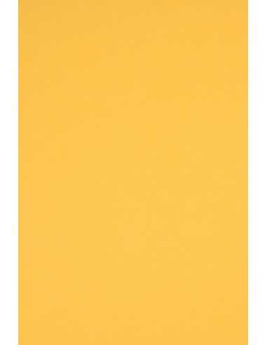 Carta colorata giallo scuro 230g Rainbow - conf. 10 fogli A3