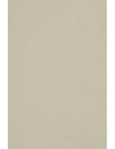 Carta colorata grigio chiaro 250g Burano Grigio - conf. 10 fogli A3