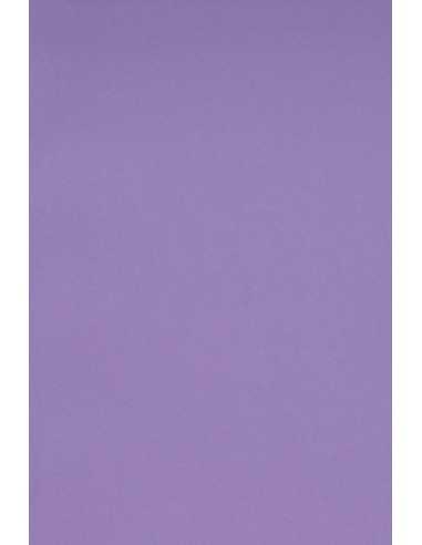 Carta colorata viola 250g Burano Violet - conf. 10 fogli A3