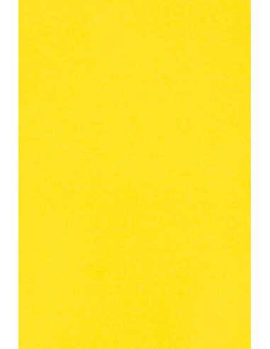 Carta colorata giallo 250g Burano Giallo Zolfo - conf. 10 fogli A3