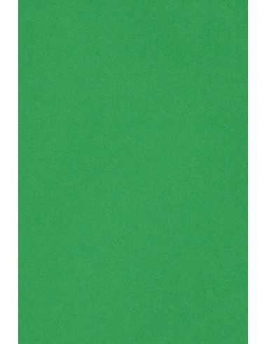 Carta colorata verde 250g Burano Verde Bandiera - conf. 10 fogli A3