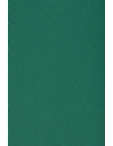 Carta colorata verde scuro 250g Burano English Green - conf. 10 fogli A5