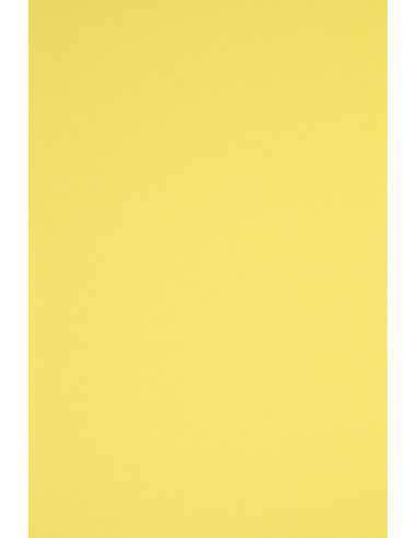 Carta colorata giallo 230g Rainbow - conf. 10 fogli A5