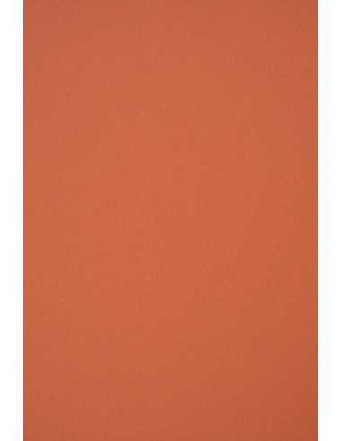 Carta colorata ecologica rosso 250g Materica Terra Rossa (72x102cm)