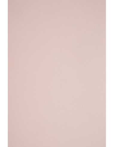 Carta colorata rosa cipria 290g Sirio Color Nude (70x100cm)