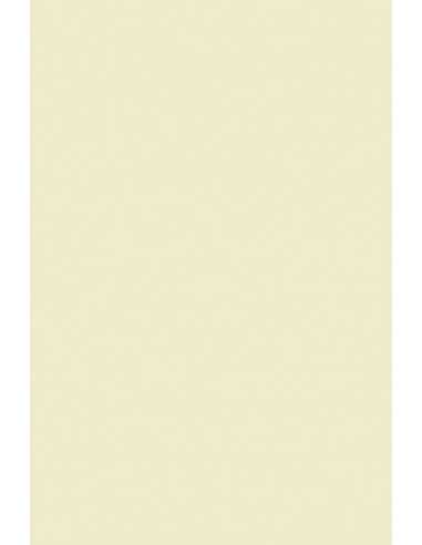 Carta colorata avorio 140g Plike Ivory- conf. 10 fogli A4