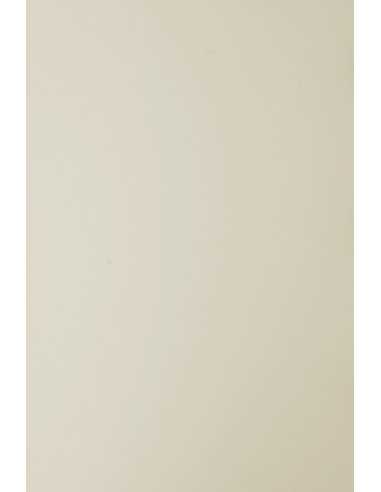 Carta colorata beige 210g Sirio Color Sabbia (70x100cm)