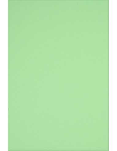 Carta colorata menta 230g Rainbow - conf. 10 fogli A5