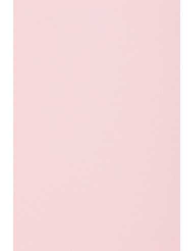 Carta colorata rosa chiaro 160g Rainbow (92x65cm)