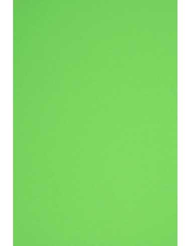 Carta colorata verde 160g Rainbow (45x64cm) - 10 fogli