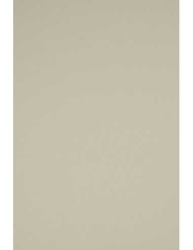 Carta colorata grigio 160g Rainbow (92x65cm)