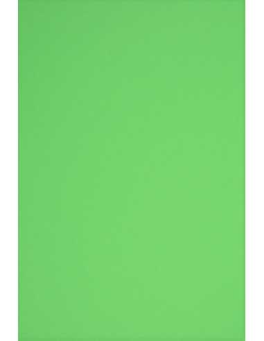 Carta colorata verde 230g Rainbow - conf. 10 fogli A3