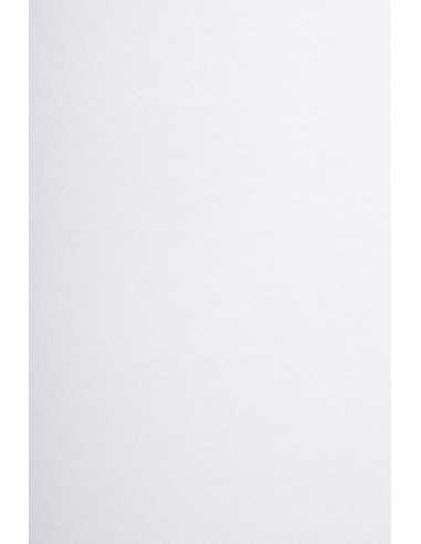 Carta offset Bristol bianco 170g (43x61cm) - 10 fogli