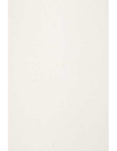 Carta ecologica con inclusioni bianco 120g Freelife Kendo White (70x100cm)