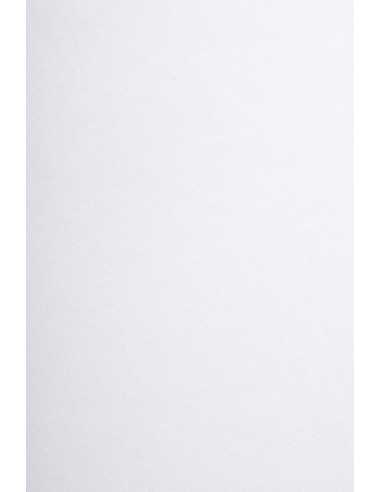 Carta liscia bianco 200g Arena Smooth Extra White (72x102cm)