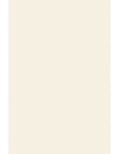 Carta strutturata bianco 150g Stucco Old Mill Gesso (72x101cm)