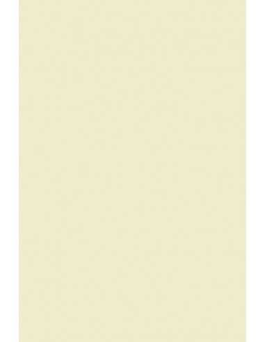 Carta liscia crema 240g Olin Regular Soft Cream (72x102cm)