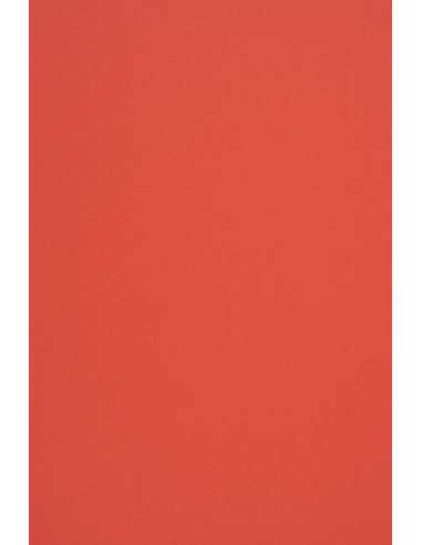 Carta colorata rosso 170g Woodstock Rosso (70x100cm)