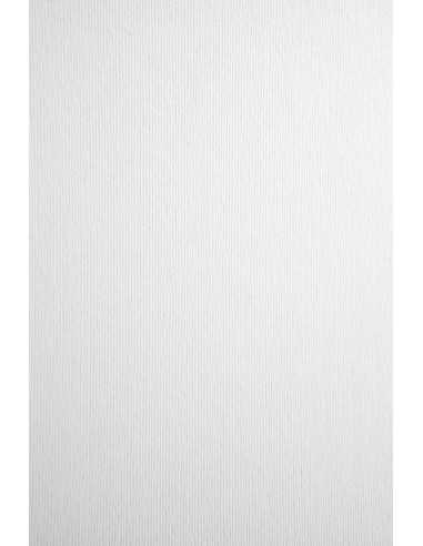 Carta strutturata righe bianco 360g Nettuno Bianco Artico (72x101cm)