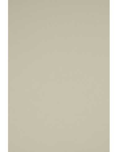 Carta colorata grigio chiaro 160g Rainbow (45x64cm) - 10 fogli