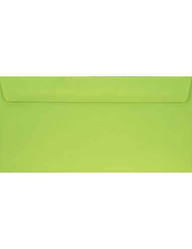 Busta decorativa liscia DL 11x22 HK Sirio Colore verde lime 115g