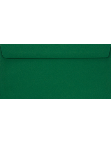 Busta decorativa liscia DL 11x22 HK Sirio Color Foglia verde 115g