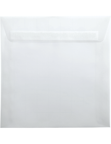 Busta trasparente decorativa piazza K4 17x17 HK Aster Tracing bianco 112g